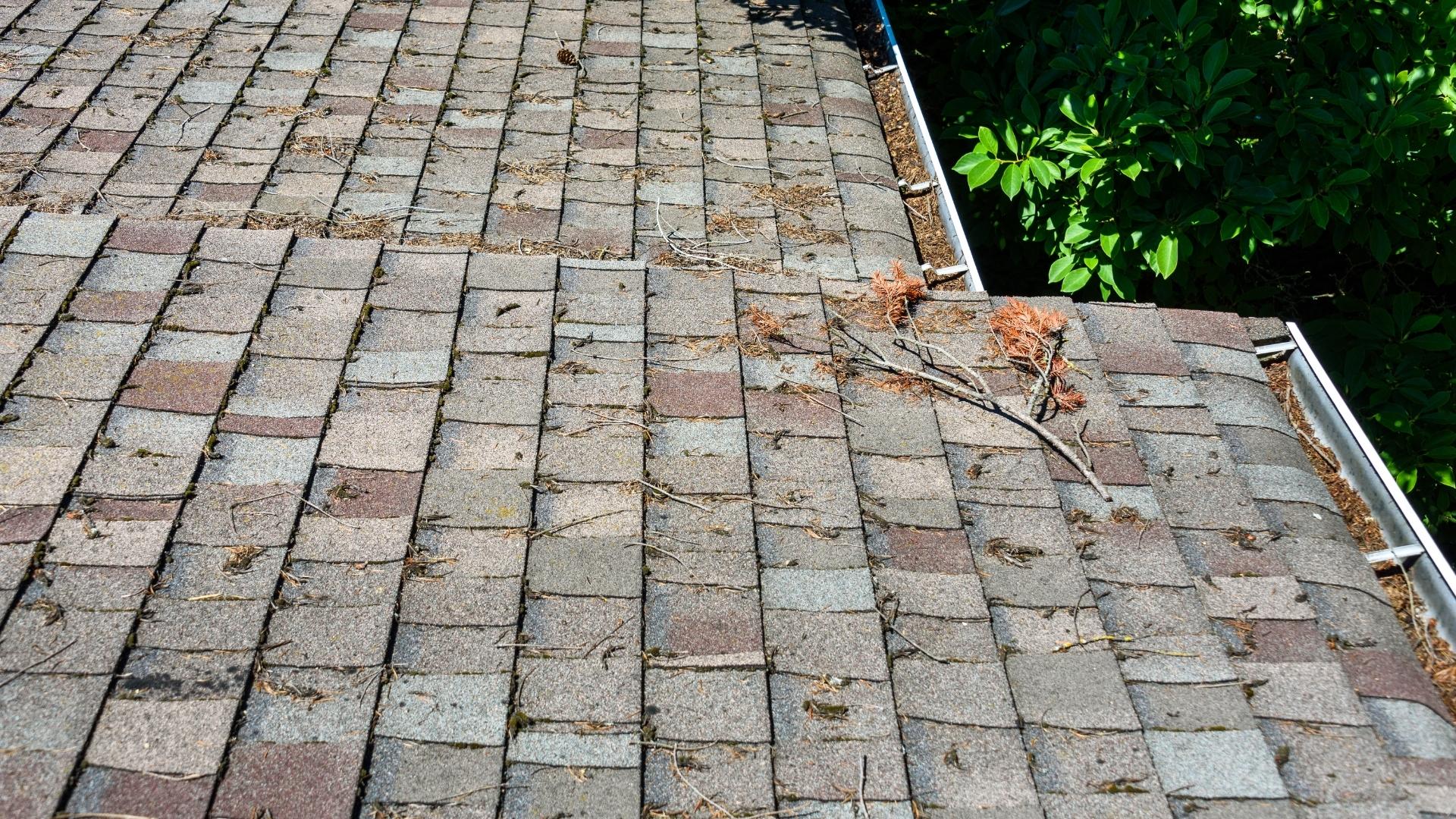 Roof Maxx for Property Managers